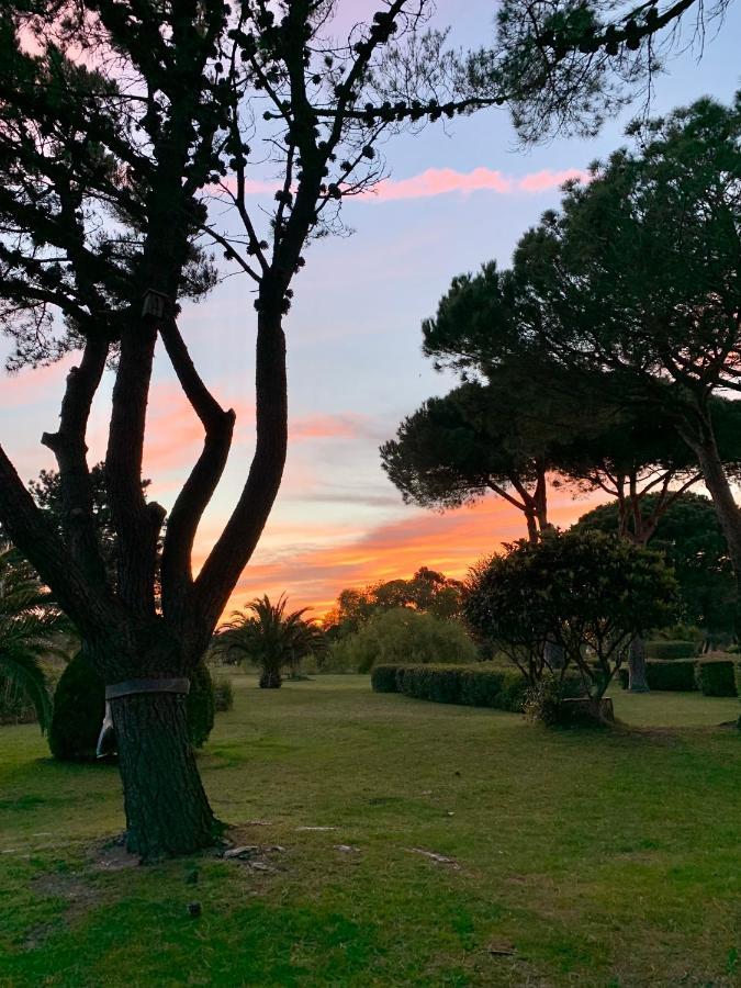 Apartment L' Du Golf Saint-Cyprien (Pyrenees-Orientales)